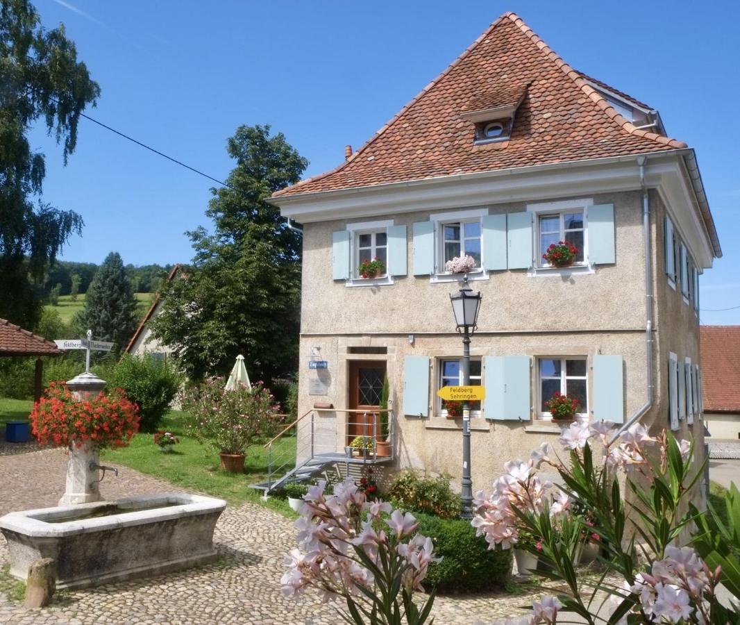 Ferienhaus Zur Alten Dame Badenweiler Eksteriør billede